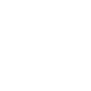 GTI Logo White 300x301