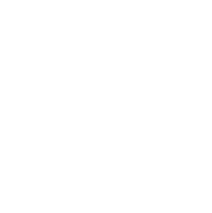 GTI Logo White 300x301 GTI Logo White 300x301