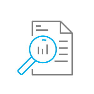 line drawing of magnifying glass shape over a document shape representing information services icon