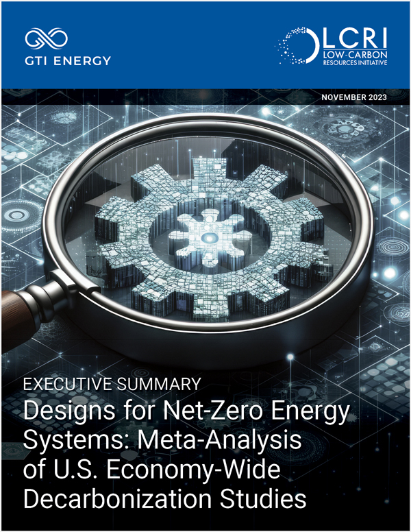 Meta NZ Executive Summary cover art depicting analysis