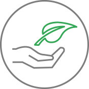 line drawing of green leaf over open palm representing environment icon
