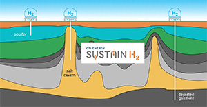 Sustain H2 Blog LI 300x156