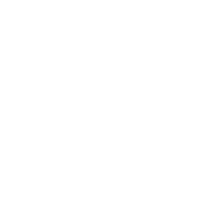 X White Icon